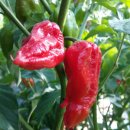 왜관농협 하나로마트 남부점 이미지