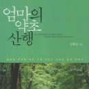 행복한 약초