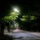 다나의료기 | [인천다이어트/구월동다이어트] 14일동안 인천점! 프로그램 리얼 후기