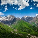 봄 여름 이미지