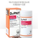 피엔티 이미지