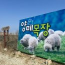 진달래목장 이미지