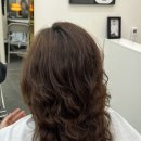 우디헤어 이미지