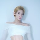 511짐 이미지