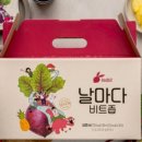 비트빗