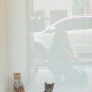 디자인더 이미지