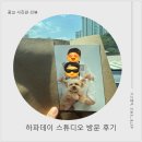 카메라 극혐하던 예민보스 우리집 강쥐도 마음 활짝 연 광교 사진관! 대성공한 강아지 가족사진 후기