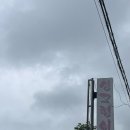 싱그랭이 | 춘포 싱그랭이|미나리와 버섯 듬뿍 들어간 샤브샤브 칼국수 맛집