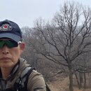 늠내길 1코스 숲길 이미지