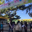 입실초등학교 이미지