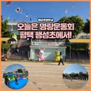 팽성초등학교 | 🚩 (찾아가는 체육대회 2026) 팽성초등학교 명랑운동회 운영 후기 / 학교 운동회 행사 전문 / 천막...