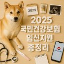건강도우미약국 | 2025 국민건강보험 임신지원 총정리