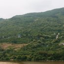 직금 이미지