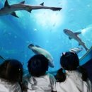 아쿠아플라넷 여수 이미지