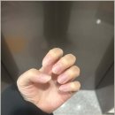 네일디아
