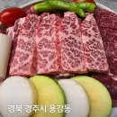 소(牛)규모