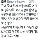 수정-137 이미지