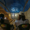 문경 철로자전거(진남역) 이미지