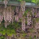 순천동산중학교 이미지