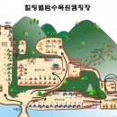 남양주 힐링별밤수목원캠핑장) 차박8-9사이트 가족캠핑 후기