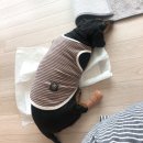 소담동물병원 이미지