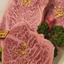 마블넘버나인(No9) 이미지