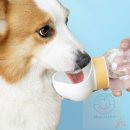 스카이애견 이미지