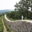 코스모스농원 이미지