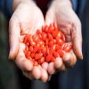 나복리농장 이미지