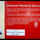 뉴질랜드 여행기 -3- 로토루아(Rotorua)의 아침, "레드우두 수목원"(RedWood Memorial Grove). 이미지