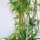 수경농장 이미지