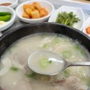 시골돼지 | 동아대부민캠 돼지국밥 맛집 시골한방돼지국밥 내돈내산 후기