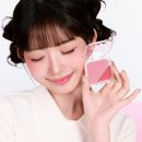 치크 이미지