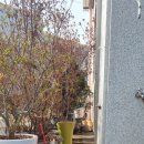 삼계면주민자치센터 이미지