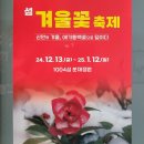 12월24일 파란산악회 산행지 천사섬 분재공원 겨울꽃 축제장및 자은도 무한의다리. 소개 이미지