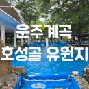 운주면(대전)
