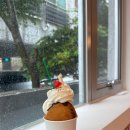 클로씨(CLOSEA) 이미지