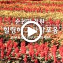 순천만 힐링 이미지