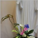 분당요한성당 이미지