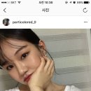 보배펫 이미지