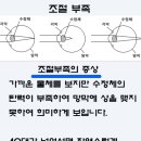 제일안경 이미지