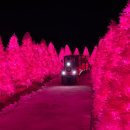 7월 서울근교 당일치기 가볼만한 곳 추천 베스트 7 이미지