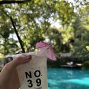 cafe 39 | 치앙마이 인스타 감성 카페 &#39;No.39 Cafe&#39; 찐솔직후기, 포토존 추천