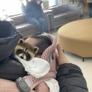 유현진정형외과의원 | 1-2개월 아기 BCG(결핵)+B형간염 2차 예방접종 후기 / 서산 서울소아청소년과