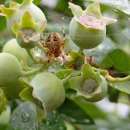 (주)굿모닝지리산 이미지