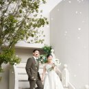 유어스펫 이미지