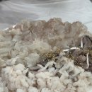 진하막썰어횟집 이미지