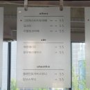 얼롱위드 티스토리