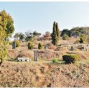 기연농장 이미지