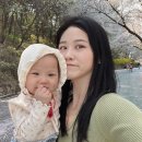 팔달산로 이미지